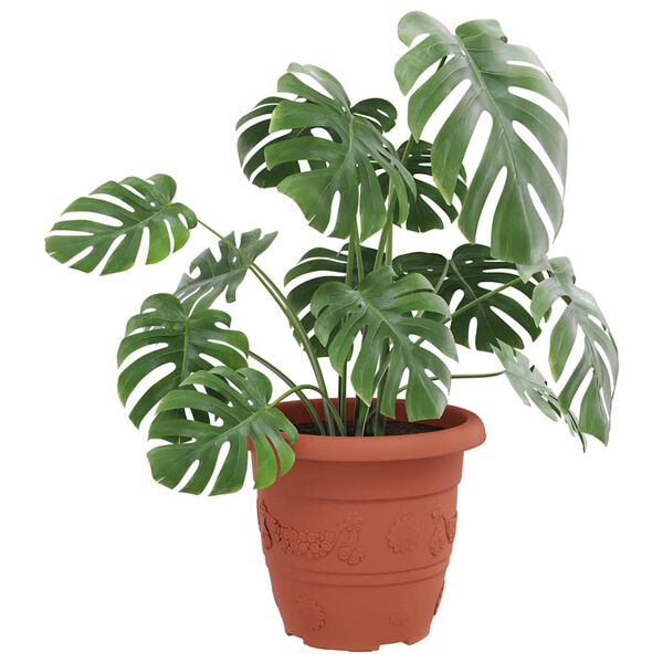 &Pi;&rho;&omicron;&beta;&omicron;&lambda;ή &Phi;&omega;&tau;&omicron;&gamma;&rho;&alpha;&phi;ί&alpha;&sigmaf; &Pi;&rho;&omicron;ϊό&nu;&tau;&omicron;&sigmaf; 3 &alpha;&pi;ό 9