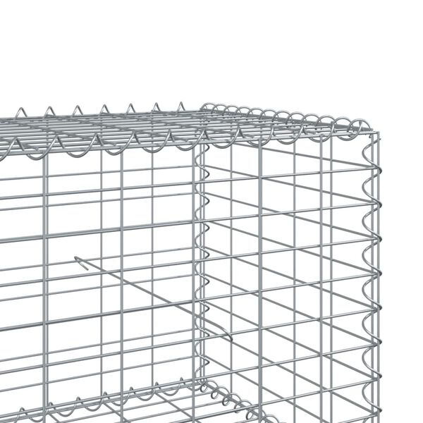 vidaXL Συρματοκιβώτιο με Κάλυμμα 100x100x50εκ. από Γαλβανισμένο Χάλυβα