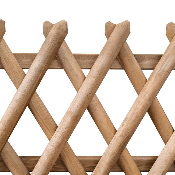 vidaXL Πόρτες Φράχτη 2 τεμ. 300 x 100 εκ. από Εμποτισμένο Ξύλο Πεύκου