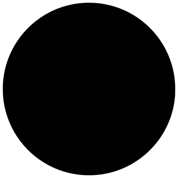 vidaXL Κάλυμμα Πισίνας Μαύρο 300 εκ. από Πολυαιθυλένιο