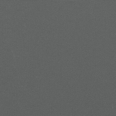 vidaXL Σκίαστρο Πλαϊνό Συρόμενο Ανθρακί 100 x 1000 εκ.