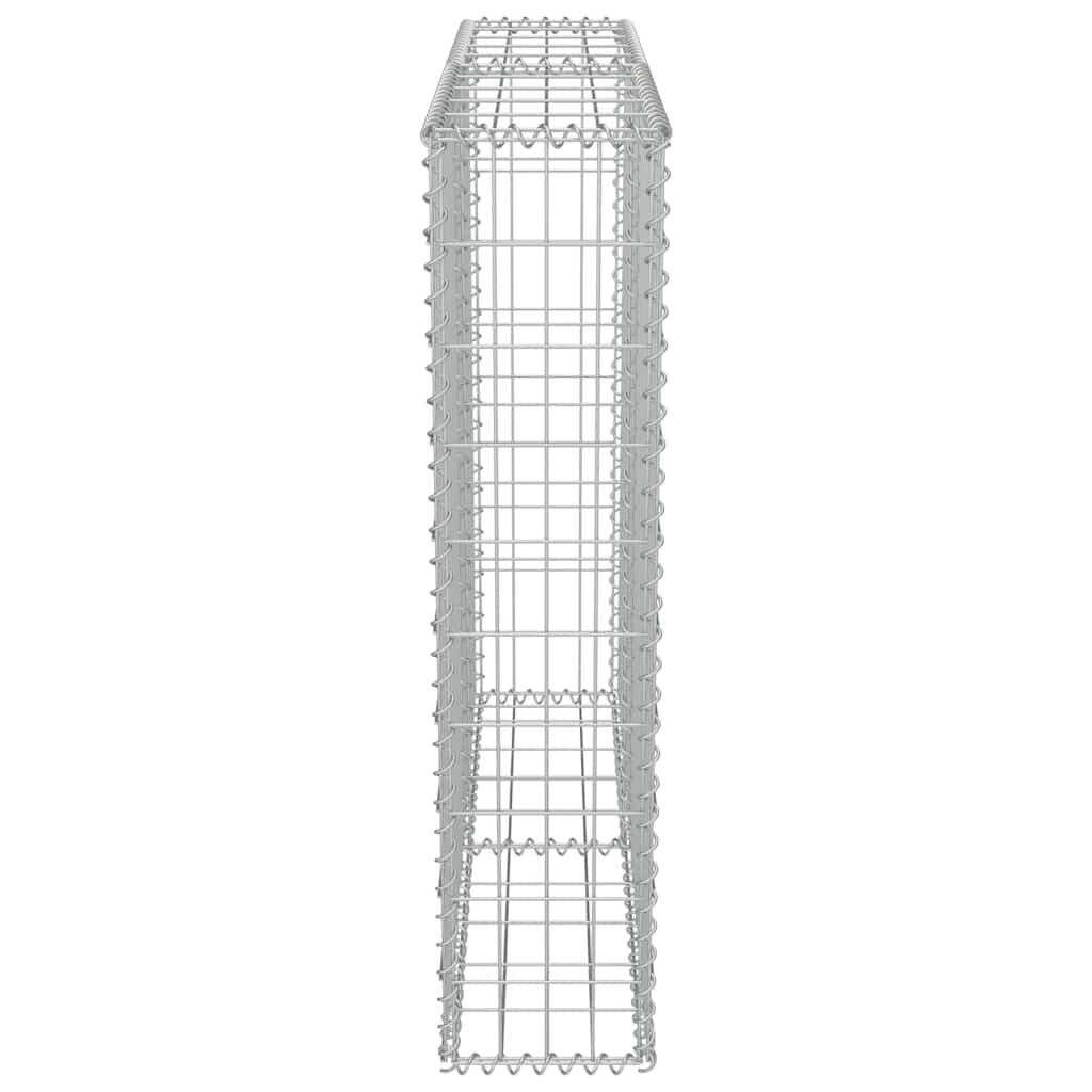 vidaXL Συρματοκιβώτιο Τοίχος 100x20x100 εκ. Γαλβαν.Χάλυβας + Καλύμματα