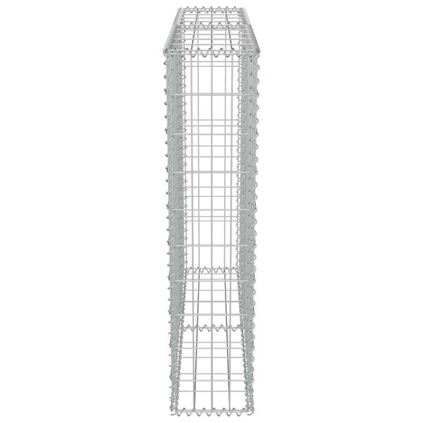 vidaXL Συρματοκιβώτιο Τοίχος 100x20x100 εκ. Γαλβαν.Χάλυβας + Καλύμματα