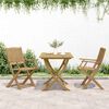 vidaXL Καρέκλες Κήπου Πτυσσόμενες 2 τεμ 58x54,5x90 εκ. Μασίφ Ακακία