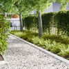 vidaXL Περιγράμματα γκαζόν 10 pcs Λευκό 100 x 0.5 x 15 εκ Ατσάλι