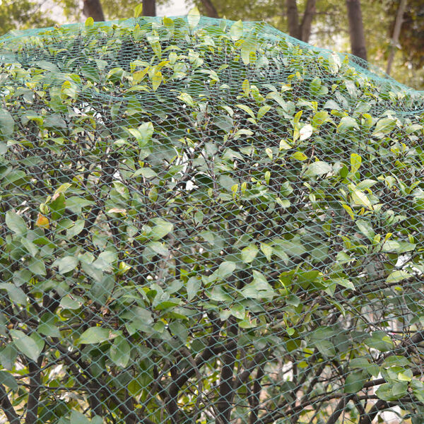 vidaXL &Delta;ί&chi;&tau;&upsilon;&alpha; &Alpha;&pi;ώ&theta;&eta;&sigma;&eta;&sigmaf; &Pi;&tau;&eta;&nu;ώ&nu; 5 &tau;&epsilon;&mu;. 4 x 10 &mu;. &alpha;&pi;ό &Pi;&omicron;&lambda;&upsilon;&alpha;&iota;&theta;&upsilon;&lambda;έ&nu;&iota;&omicron;