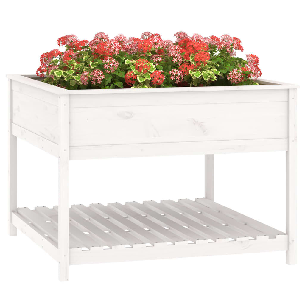vidaXL Ζαρντινιέρα με Ράφι Λευκή 111,5x111,5x81 εκ. Μασίφ Ξύλο Πεύκου