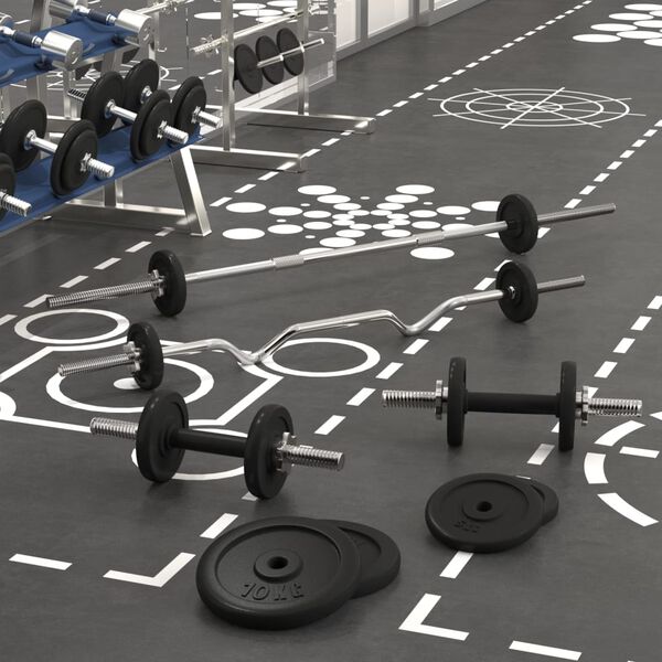 vidaXL Μπάρα και Αλτήρας με Δίσκους 60 κιλών από Χυτοσίδηρο