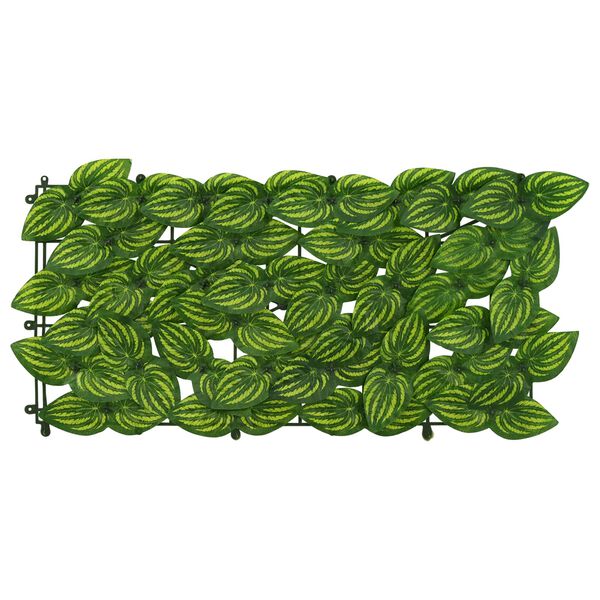 &Pi;&rho;&omicron;&beta;&omicron;&lambda;ή &Phi;&omega;&tau;&omicron;&gamma;&rho;&alpha;&phi;ί&alpha;&sigmaf; &Pi;&rho;&omicron;ϊό&nu;&tau;&omicron;&sigmaf; 3 &alpha;&pi;ό 6