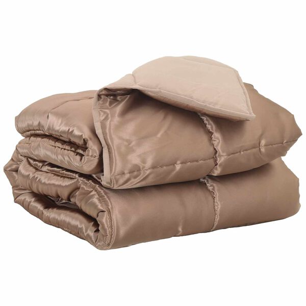 vidaXL &Kappa;&omicron;&upsilon;&beta;έ&rho;&tau;&alpha; &omicron;&lambda;ό&kappa;&lambda;&eta;&rho;&omicron;&upsilon; &tau;&omicron;&upsilon; &chi;&rho;ό&nu;&omicron;&upsilon; &Chi;&rho;&upsilon;&sigma;ό 220 x 240 cm