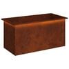 vidaXL &Zeta;&alpha;&rho;&nu;&tau;&iota;&nu;&iota;έ&rho;&alpha; &kappa;ή&pi;&omicron;&upsilon; &mu;&epsilon; LED &Sigma;&kappa; rusty 50 &times; 100 &times; 48 &epsilon;&kappa;