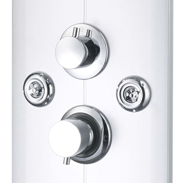 vidaXL Στήλη Ντους Υδρομασάζ Ασημί 25 x 43 x 120 εκ.