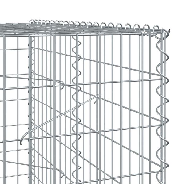 vidaXL Συρματοκιβώτιο με Κάλυμμα 250x100x200εκ από Γαλβανισμένο Χάλυβα