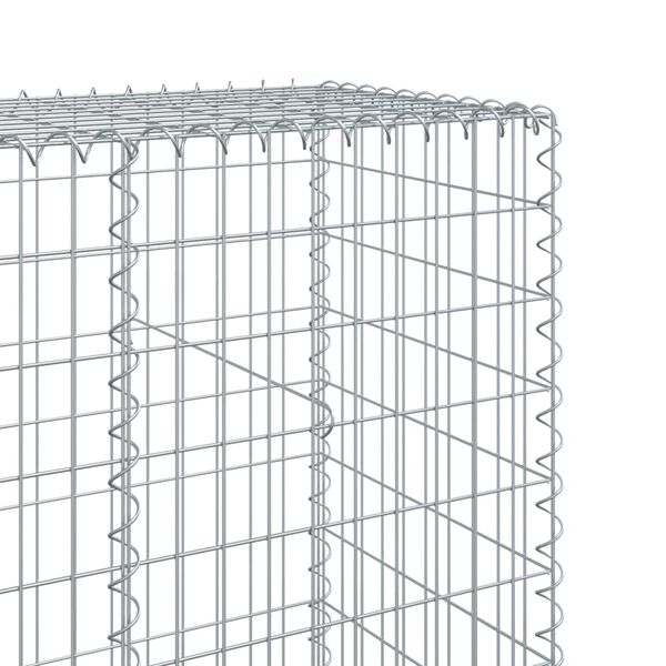 vidaXL Συρματοκιβώτιο με Κάλυμμα 100x50x200εκ. από Γαλβανισμένο Χάλυβα
