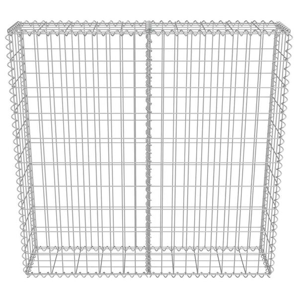 vidaXL Συρματοκιβώτιο Τοίχος 100x20x100 εκ. Γαλβαν.Χάλυβας + Καλύμματα