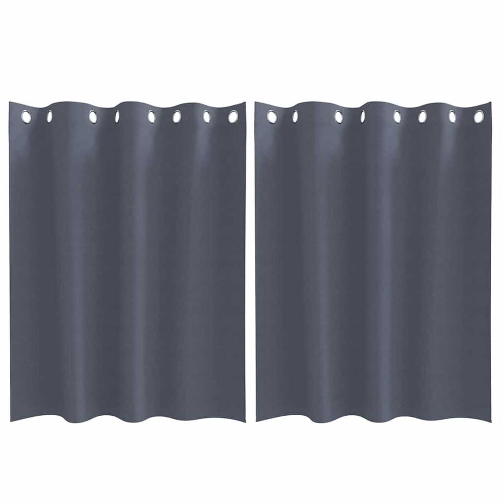 vidaXL Κουρτίνες με κουρτίνες 2 pcs Ανθρακί Πολυεστέρας
