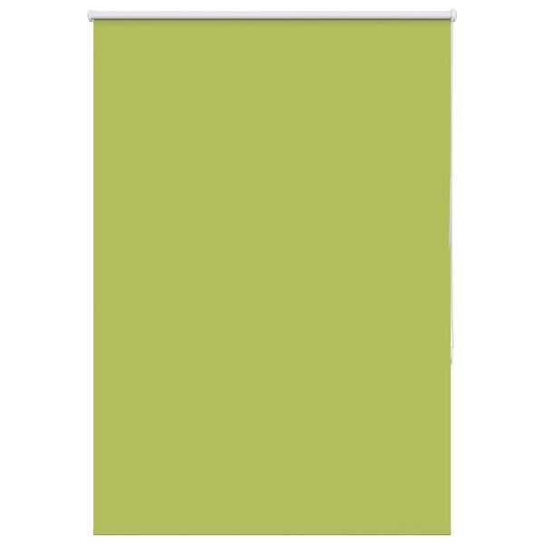 vidaXL &Rho;&omicron;&lambda;έ&rho; &Mu;&pi;&lambda;&alpha;&kappa;ά&omicron;&upsilon;&tau; &phi;ύ&lambda;&lambda;&alpha; &pi;&rho;ά&sigma;&iota;&nu;&alpha; 100x150 cm &Pi;&lambda;ά&tau;&omicron;&sigmaf; &upsilon;&phi;ά&sigma;&mu;&alpha;&tau;&omicron;&sigmaf;