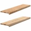vidaXL &Pi;&alpha;&tau;ά&kappa;&iota;&alpha; &Sigma;&kappa;ά&lambda;&alpha;&sigmaf; 2 &tau;&epsilon;&mu;. 100x25x2 &epsilon;&kappa;. &Alpha;&kappa;&alpha;&tau;έ&rho;&gamma;&alpha;&sigma;&tau;&omicron; &Mu;&alpha;&sigma;ί&phi; &Xi;ύ&lambda;&omicron; &Delta;&rho;&upsilon;ό&sigmaf;