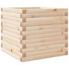Natural_pine