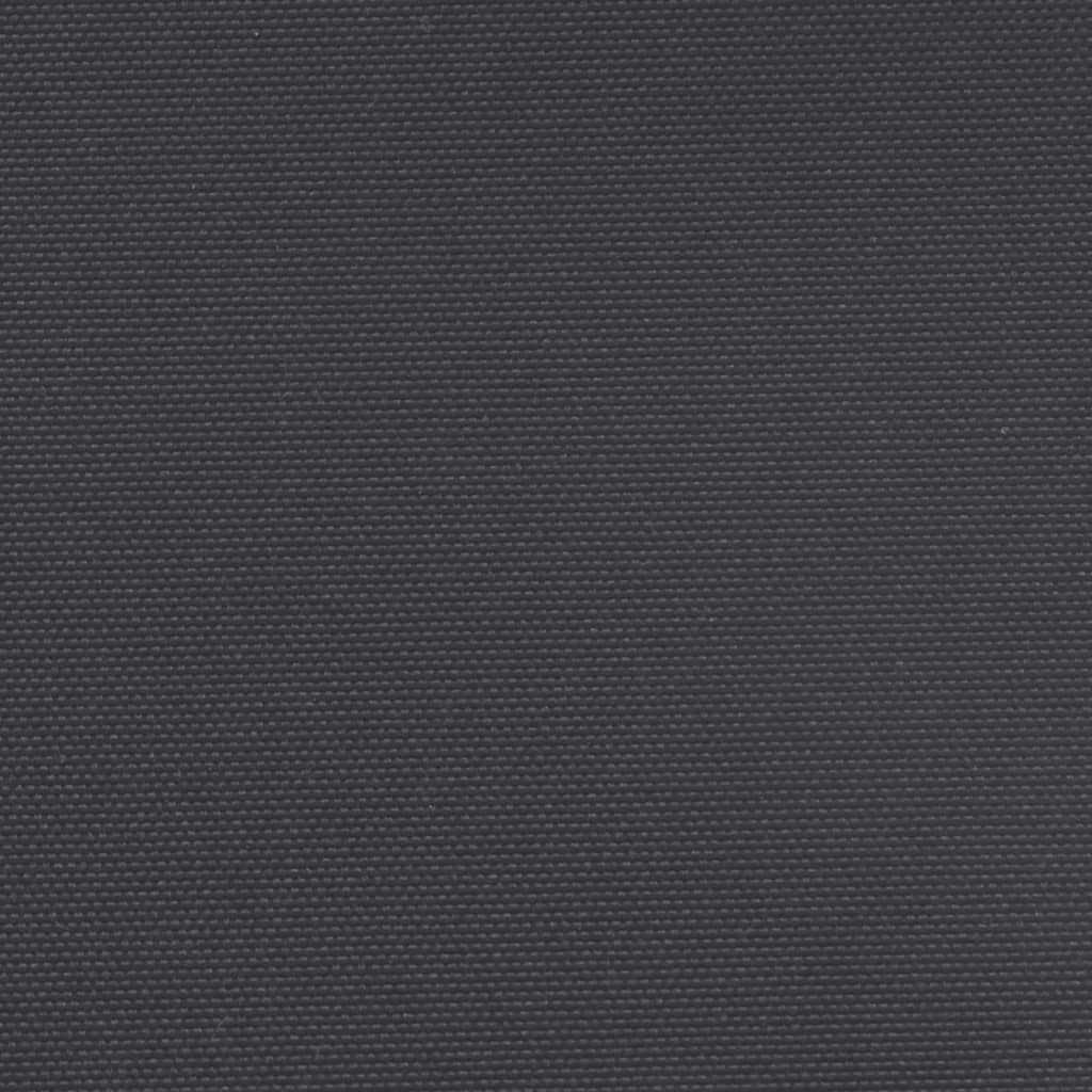 vidaXL Σκίαστρο Πλαϊνό Συρόμενο Μαύρο 220 x 500 εκ.