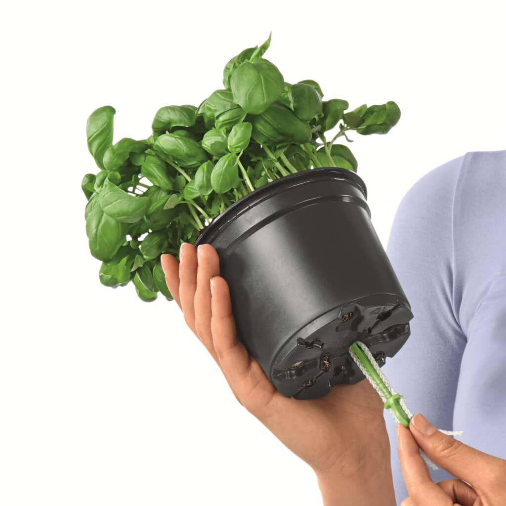 LECHUZA Γλάστρες Green Wall Home Kit 3 τεμ. Λευκό