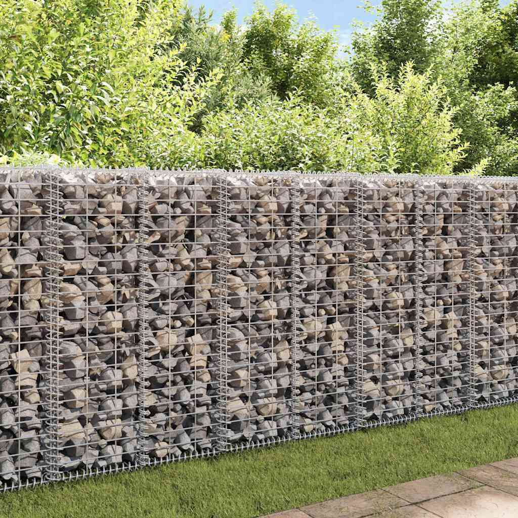 vidaXL Συρματοκιβώτιο Τοίχος 20x20x100 εκ. Γαλβαν.Χάλυβας + Καλύμματα