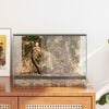 vidaXL Habitats ερπετών και αμφιβίων Λευκό 40 x 30 x 30 εκ Γυαλί