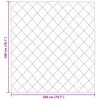vidaXL &Kappa;&alpha;&lambda;&omicron;&kappa;&alpha;&iota;&rho;&iota;&nu;ό &Pi;&alpha;&pi;&lambda;&omega;&mu;&alpha;&tau;&omicron;&theta;ή&kappa;&eta; &Mu;&alpha;ύ&rho;&omicron; 200 x 200 cm &Mu;&iota;&kappa;&rho;&omicron;ΐ&nu;&epsilon;&sigmaf;