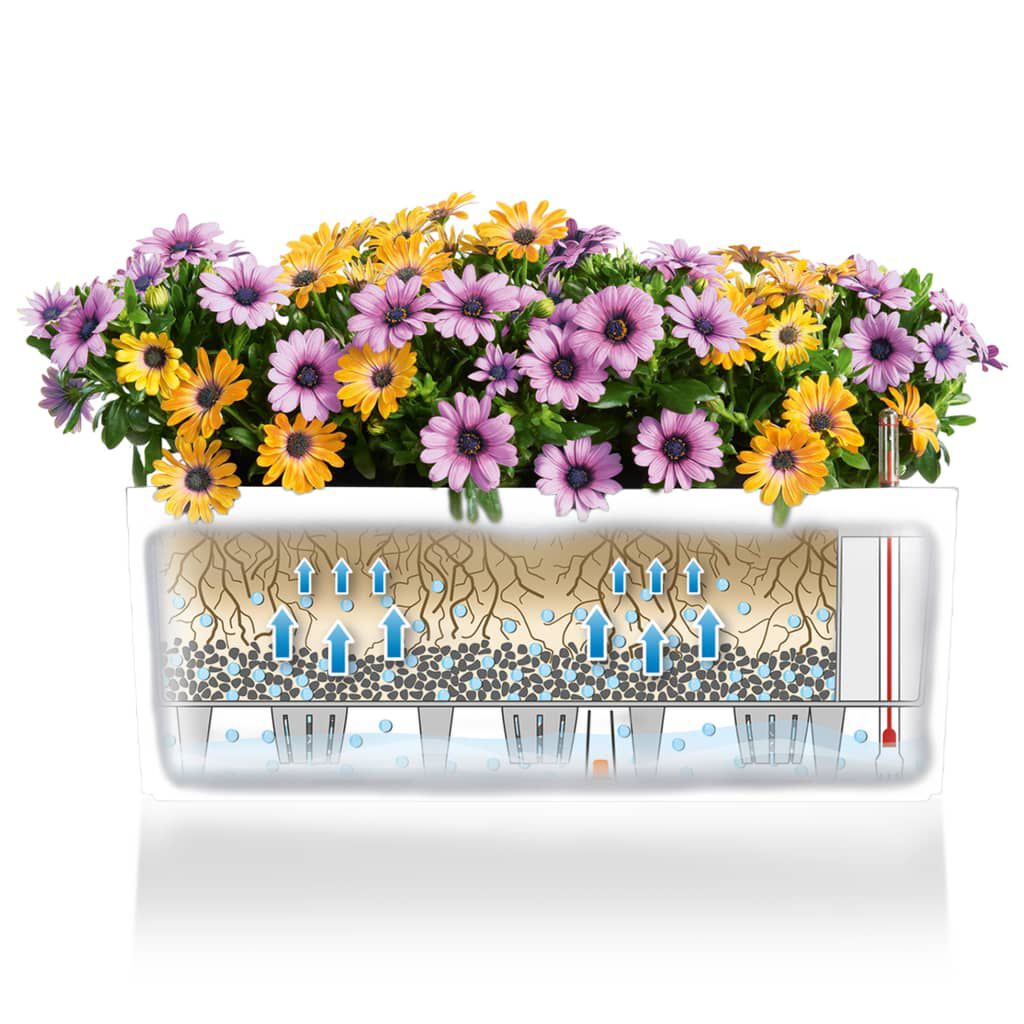 LECHUZA Ζαρντινιέρα Αυτοποτιζόμενη Balconera Color 80 ALL-IN-ONE Λευκή