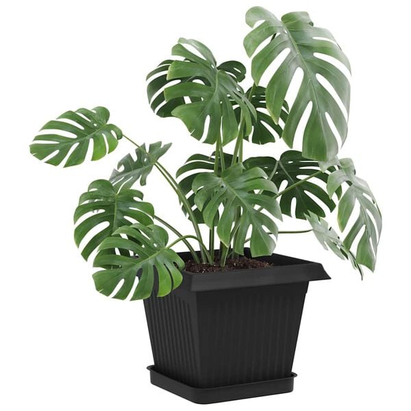 &Pi;&rho;&omicron;&beta;&omicron;&lambda;ή &Phi;&omega;&tau;&omicron;&gamma;&rho;&alpha;&phi;ί&alpha;&sigmaf; &Pi;&rho;&omicron;ϊό&nu;&tau;&omicron;&sigmaf; 3 &alpha;&pi;ό 10