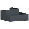 Anthracite