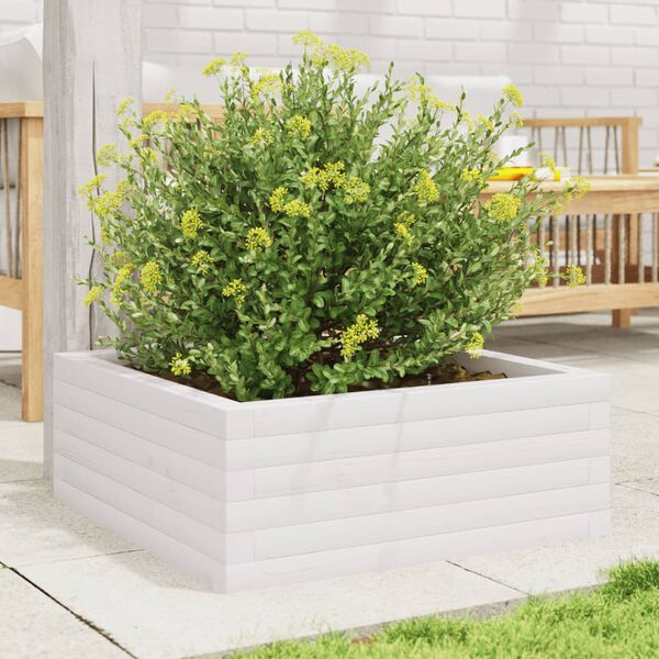 vidaXL Ζαρντινιέρα Λευκή 60x60x23 εκ. από Μασίφ Ξύλο Πεύκου
