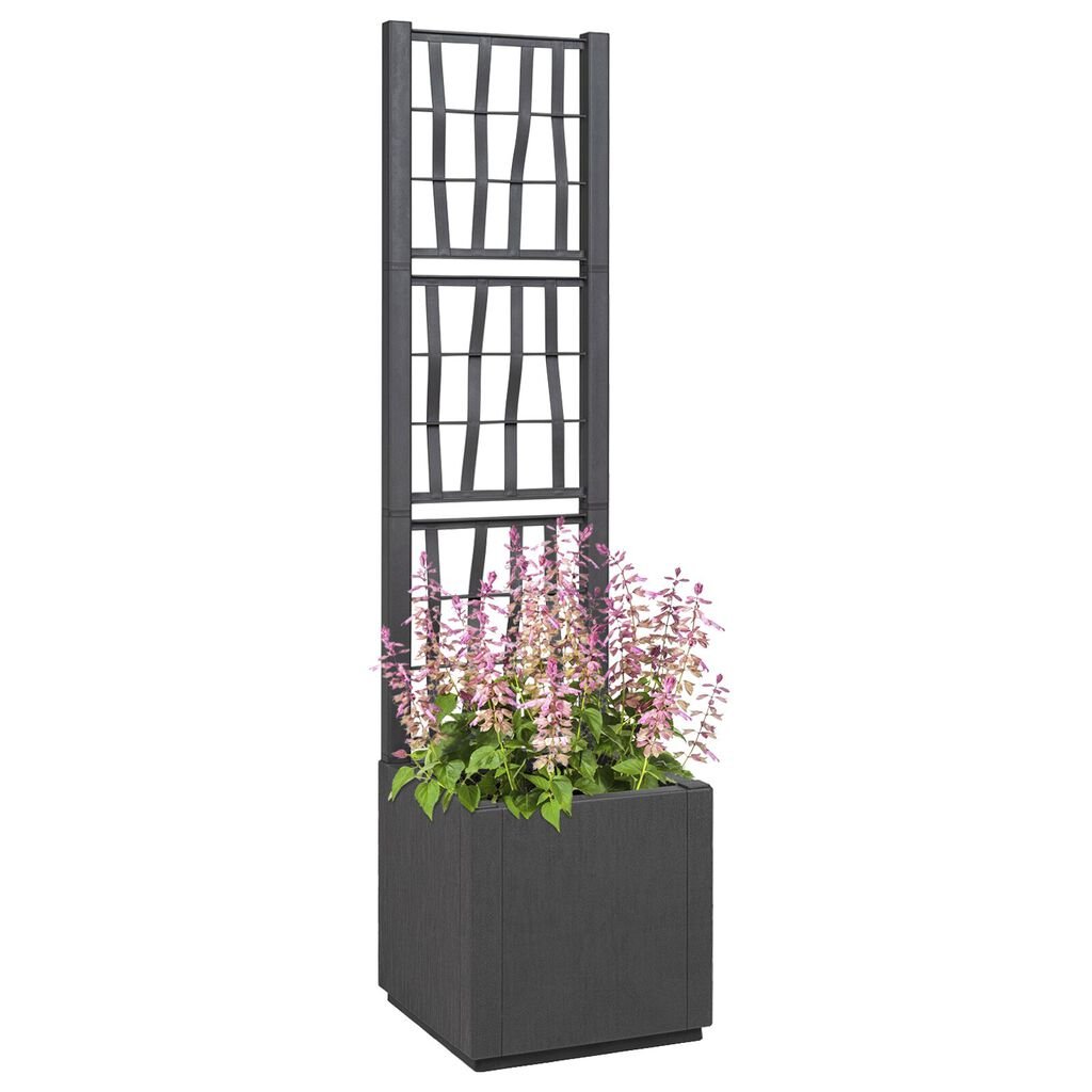 vidaXL Σκούρα Γκρι Γλάστρα Κήπου με Πλέγμα - 36x36x140 εκ