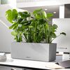 LECHUZA Ζαρντινιέρα Αυτοποτιζόμενη BALCONERA Stone 50 ALL-IN-ONE Γκρι