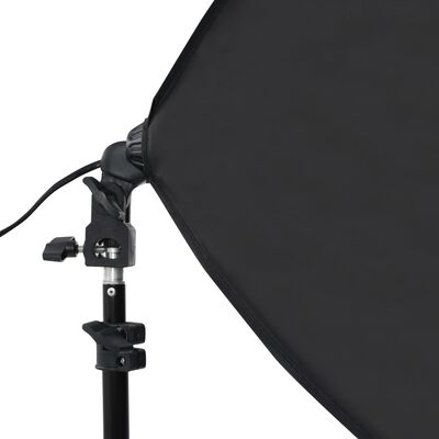 vidaXL Κιτ Φωτισμού Φωτογραφικού Στούντιο με Softbox και Φόντο