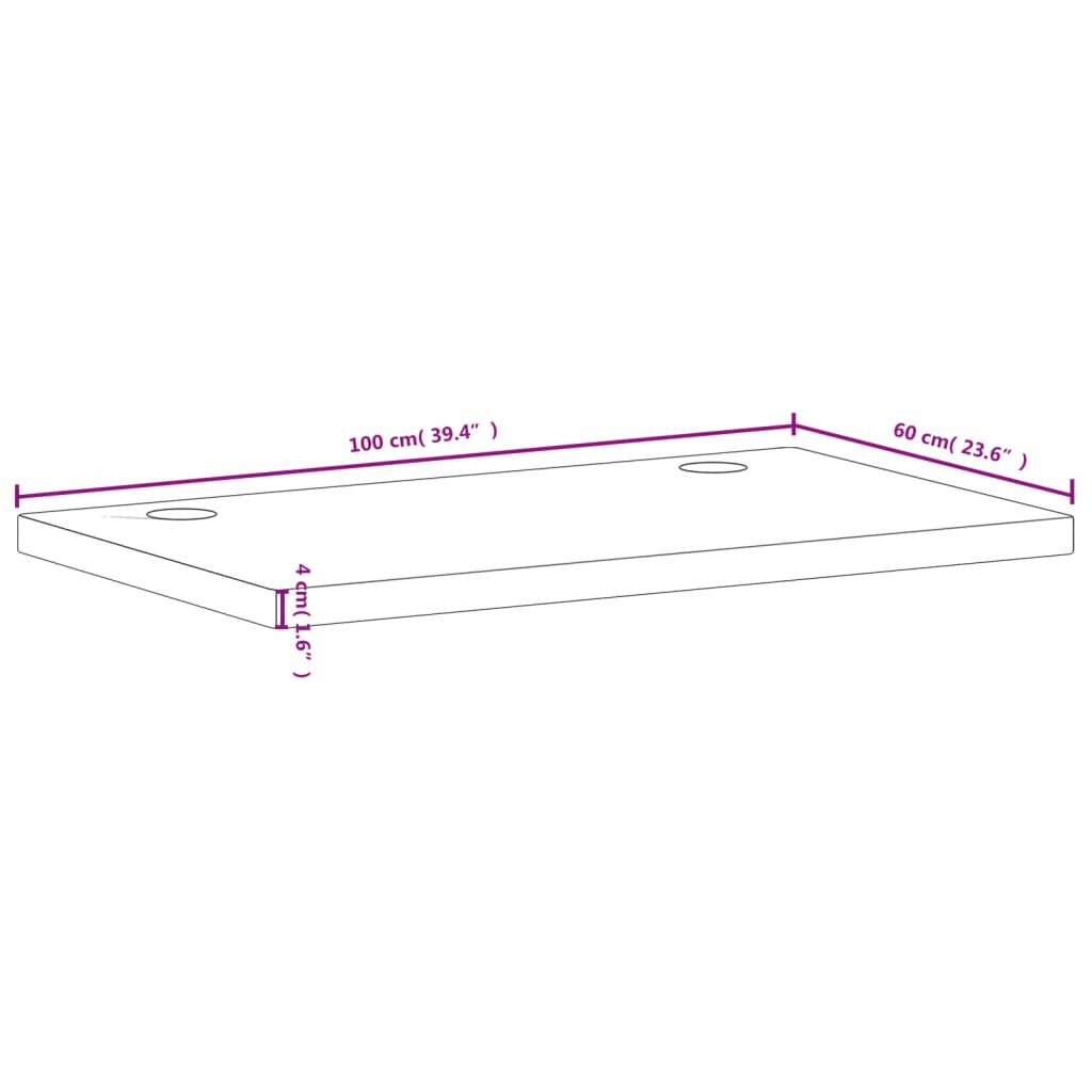 vidaXL Επιφάνεια Γραφείου 100x60x4 εκ. από Μασίφ Ξύλο Οξιάς