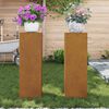 vidaXL &Beta;ά&sigma;&eta; &phi;&upsilon;&tau;ώ&nu; 2 pcs &Sigma;&kappa; rusty 24 x 24 x 75 &epsilon;&kappa;.
