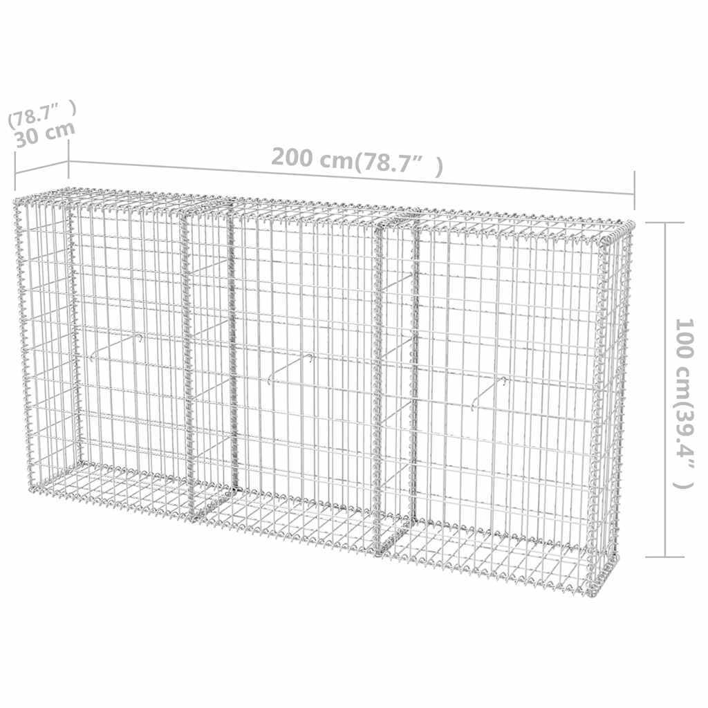 vidaXL Συρματοκιβώτιο 200 x 30 x 100 εκ. από Γαλβανισμένο Χάλυβα