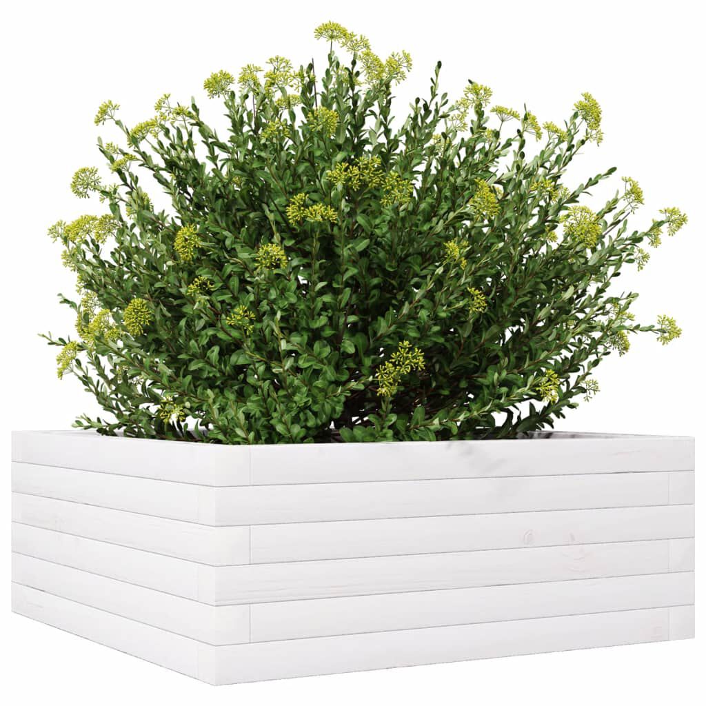 vidaXL Ζαρντινιέρα Λευκή 60x60x23 εκ. από Μασίφ Ξύλο Πεύκου