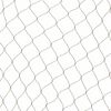 Nature &Delta;ί&chi;&tau;&upsilon; &Pi;&omicron;&upsilon;&lambda;&iota;ώ&nu; Primo &Mu;&alpha;ύ&rho;&omicron; 10 x 10 &mu;.