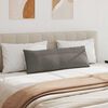 vidaXL Μαξιλάρι Καναπέ 2 pcs Ανοιχτό γκρι 120 x 40 cm