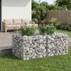 vidaXL &Alpha;&nu;&alpha;&sigma;&eta;&kappa;&omega;&mu;έ&nu;&omicron; &kappa;&rho;&epsilon;&beta;ά&tau;&iota; gabion &Alpha;&sigma;&eta;&mu;ί 100 x 100 x 60 &epsilon;&kappa;.