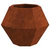 vidaXL &Gamma;&lambda;ά&sigma;&tau;&rho;&alpha; 2 pcs &Sigma;&kappa; rusty 50 x 50 x 40 cm