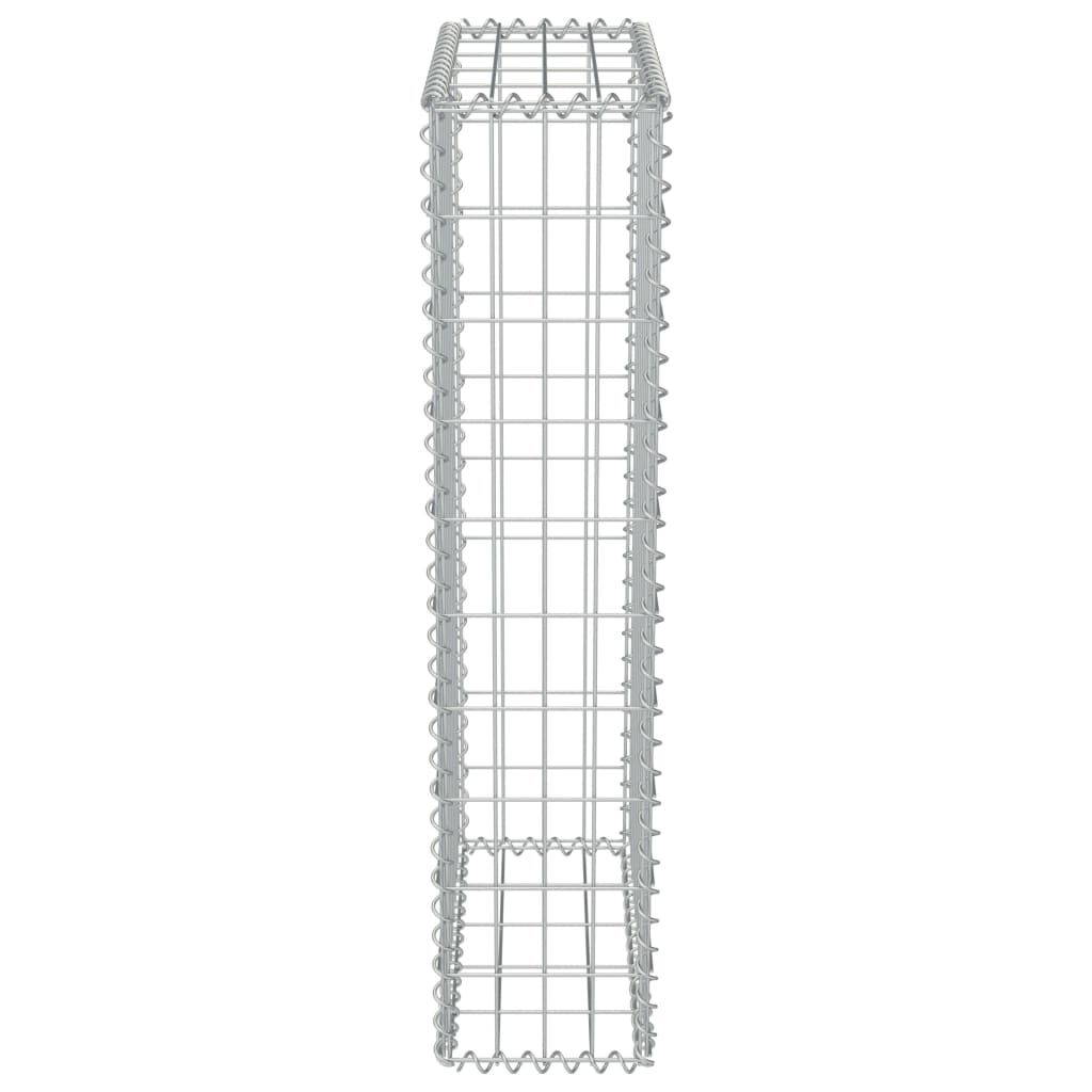 vidaXL Συρματοκιβώτιο Τοίχος 50x20x100 εκ. Γαλβαν.Χάλυβας + Καλύμματα