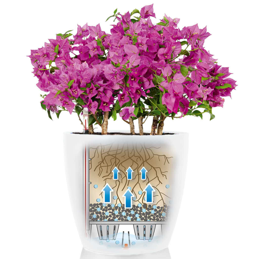 LECHUZA Γλάστρα Classico Color 28 ALL-IN-ONE Γυαλιστερό Λευκό 13190