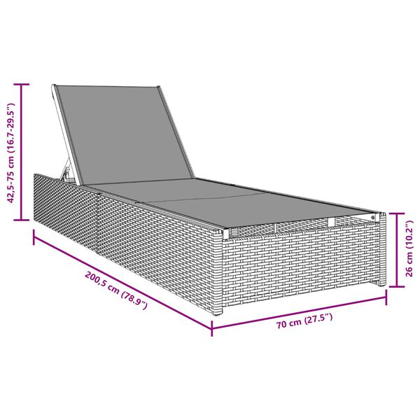 vidaXL Ξαπλώστρα Μαύρη 60x200x27 εκ Ρατάν