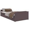 Dark_brown