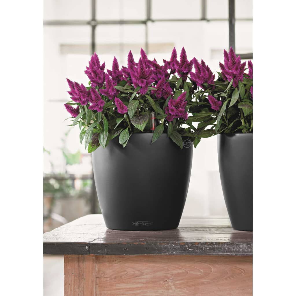 LECHUZA Γλάστρα Classico Color 43 ALL-IN-ONE Σκούρο Γκρι 13244