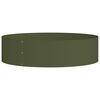 Olive_green