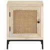 vidaXL Κομοδίνο 40 x 30 x 50 εκ. Μασίφ Ξύλο Μάνγκο/Φυσικό Ζαχαροκάλαμο